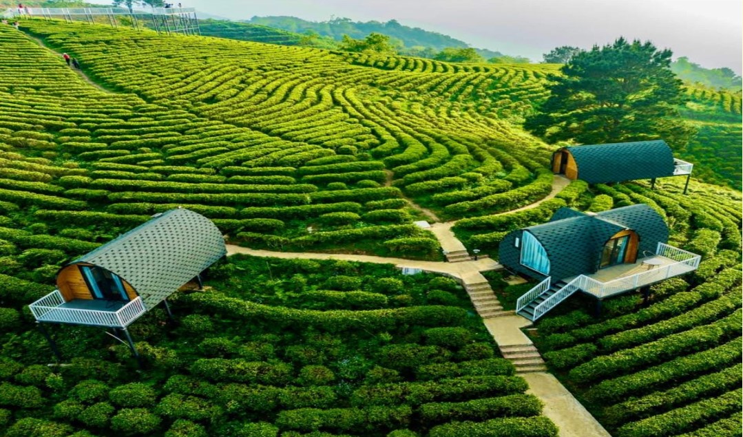 Du lịch nông nghiệp